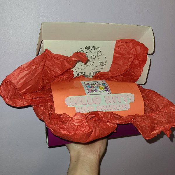 Sanrio Inspired Mystery Box - Image 2