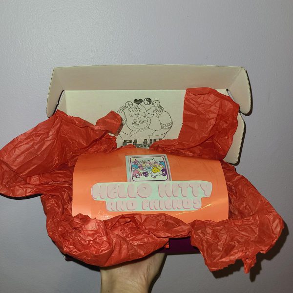 Sanrio Inspired Mystery Box - Image 3